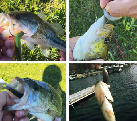 Kit Iscas Artificiais Realistas Para Pesca